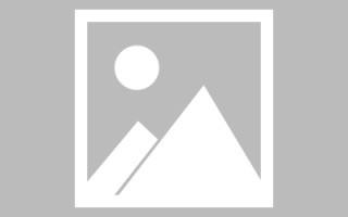 临海最佳网站建设（网站建设哪个平台最好）